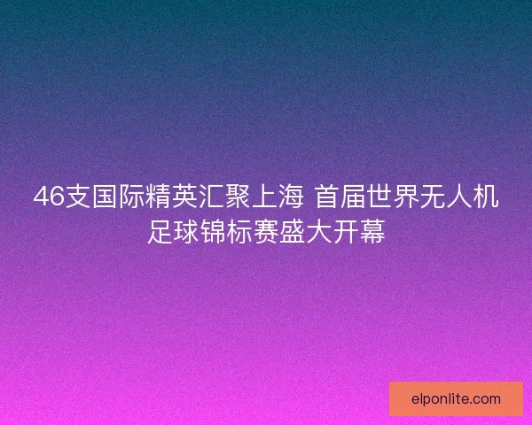 46支国际精英汇聚上海 首届世界无人机足球锦标赛盛大开幕
